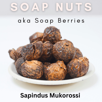soap berries or soap nuts