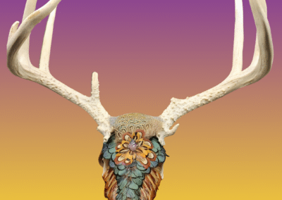 custom deer skull with feathers buck skull points