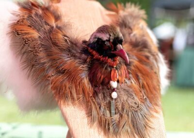 Ceremonial tools Pheasant Head Shaman Collar