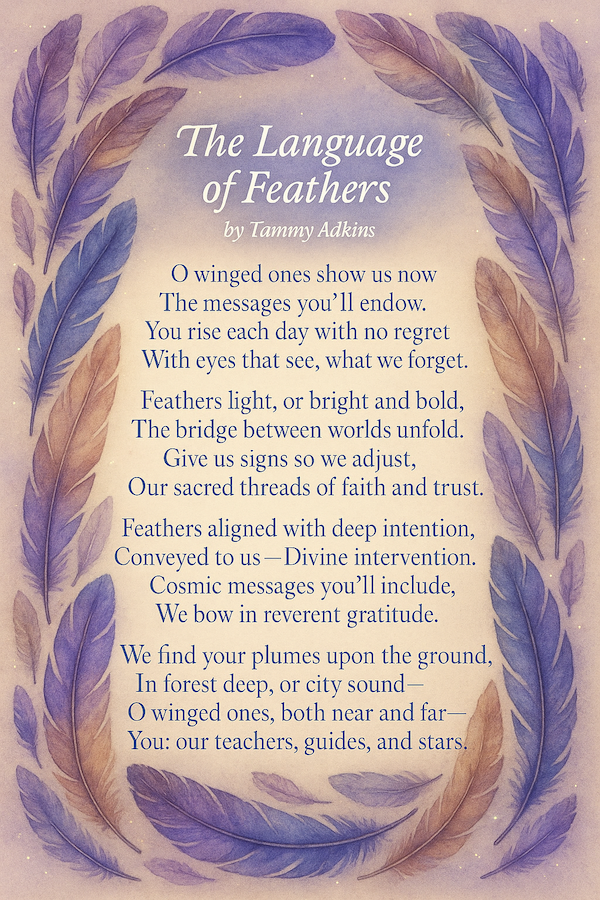 The Language of Feathers Tammy Adkins Author